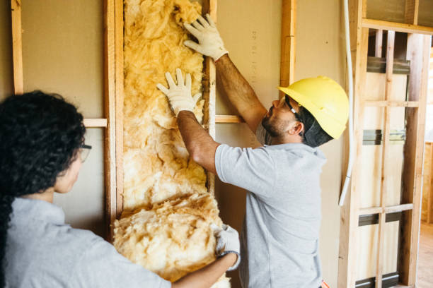 Best Insulation Removal  in Oneida, NY